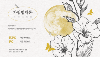 자립법개론